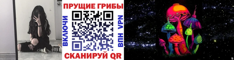 сколько стоит  это наркотические препараты  Псилоцибиновые грибы Magic Shrooms  Сланцы 